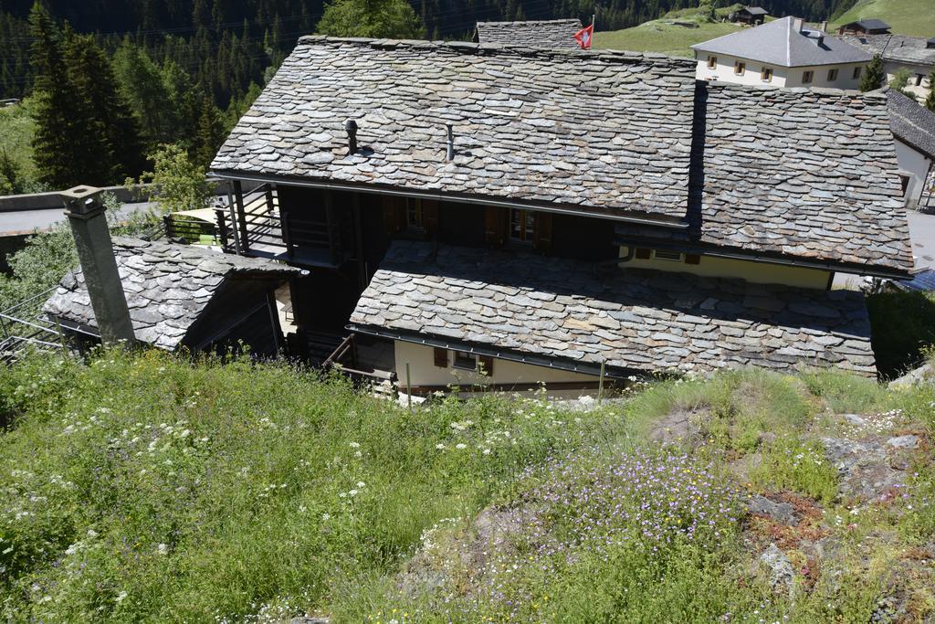 Studios Du Valsorey Bourg-Saint-Pierre Eksteriør bilde